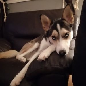 Meet your Posher, Mallory